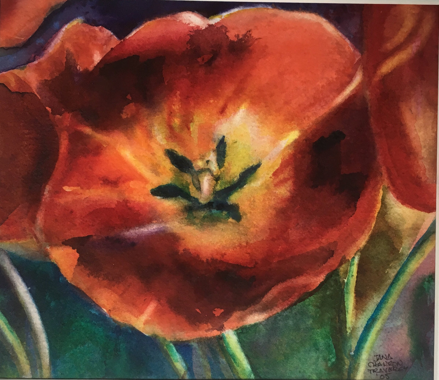 Tulip Study #3